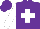 Silk - Purple, white cross emblem, white sleeves