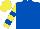 Silk - Royal blue, yellow emblem, royal blue bars on yellow sleeves, royal blue and yellow cap