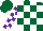 Silk - Forest green and white blocks, white blocks on purple sleeves