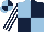 Silk - Light blue and dark blue quartered, white and dark blue striped sleeves, light blue and dark blue quartered cap