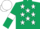 Silk - Dark Green, White stars, armlets and cap