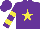 Silk - Purple, yellow star, yellow bars on sleeves, purple cap