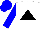 Silk - White, black triangle, blue sleeves, blue cap