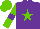 Silk - Purple, light green star, light green sleeves, purple armlets and star on light green cap