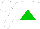 Silk - White, green triangle, white cap