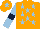 Silk - Orange, light blue stars, light blue sleeves, dark blue armlets, orange cap, light blue star