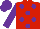 Silk - Red, purple spots, purple sleeves & cap