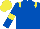 Silk - Royal blue, yellow epaulets, armlets and cap