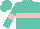 Silk - Turquoise, pink belt, pink band on slvs