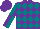 Silk - Purple, teal diamonds, purple & teal quartered sleeves