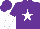Silk - purple, white star, purple and white halved sleeves
