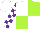 Silk - White and lime green quarters, white and purple blocks on sleeves
