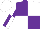 Silk - Purple and white quarters, purple and white quartered sleeves, purple and white cap