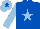 Silk - Royal blue, light blue star and sleeves, light blue cap, royal blue star