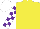 Silk - Yellow, purple & white checked sleeves & cap