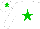 Silk - White, green star, white sleeves, white cap, green star