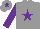 Silk - Grey, purple star, sleeves and star on cap