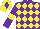 Silk - Purple body, yellow three diamonds, purple arms, yellow armlets, yellow cap, purple diamond