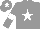 Silk - Grey, white star, white armlet, white star on cap