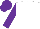 Silk - White, purple horses head, purple sleeves, purple cap