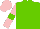 Silk - Light green, pink sleeves, light green armlets, pink cap