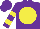 Silk - Purple, yellow disc, yellow bars on sleeves