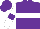 Silk - Purple, white hoop, white sleeves, purple armlets