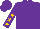 Silk - Purple with gold stars on sleeves and gold star on back