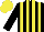 Silk - Black and yellow stripes, black sleeves, yellow cap