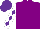 Silk - Royal purple, purple diamonds on white sleeves, purple cap