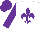 Silk - white, purple fleur de lys, purple sleeves, purple cap