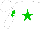 Silk - White, green star, green diamond on sleeves, green star on white cap