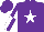 Silk - purple, white star, white and purple quartered sleeves