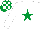 Silk - white, emerald green star, emerald green and white checked cap