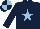 Silk - dark blue, light blue star, quartered cap
