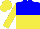 Silk - blue and yellow halved horizontally, yellow sleeves and cap