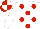 Silk - White, red spots, red and white quartered cap