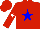 Silk - Red, blue star, white star on sleeves, red cap