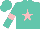 Silk - Turquoise, pink star,  pink armlets on sleeves