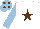 Silk - white, brown star, light blue sleeves, light blue cap, brown spots