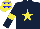 Silk - dark blue, yellow star and armlets, yellow cap with blue stars