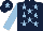 Silk - Dark blue, light blue stars, sleeves and star on cap