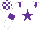 Silk - white, purple star, purple epaulets and armlets, checked cap