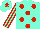 Silk - Aqua, red spots, red stripes on sleeves, red star on cap