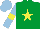 Silk - Emerald green, yellow star, Light BLue sleeves, Yellow armlets, Light Blue cap
