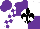 Silk - Purple and white quarters, black fleur de lis on white ball, purple blocks on white sleeves