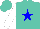 Silk - Turquoise, blue star, white sleeves, turquoise cap