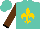 Silk - Turquoise, gold fleur de lys, black cuffs on brown sleeves, turquoise cap
