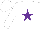 Silk - White with purple star