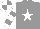 Silk - Grey body, white star, white arms, grey hooped, white cap, grey quartered